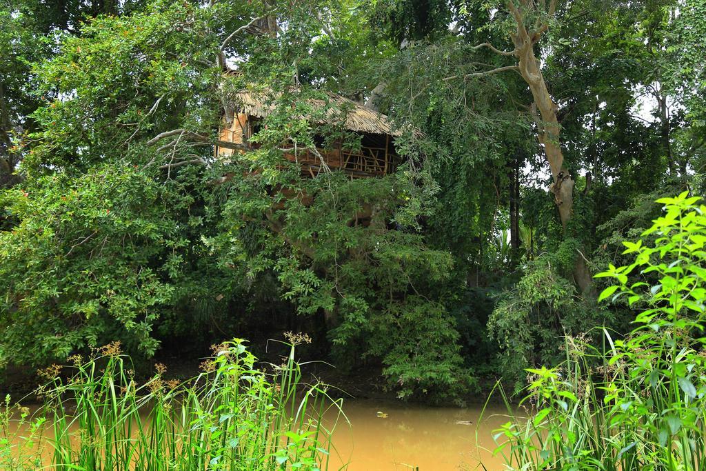 Kumbuk Tree House Villa Tissamaharama Exterior photo