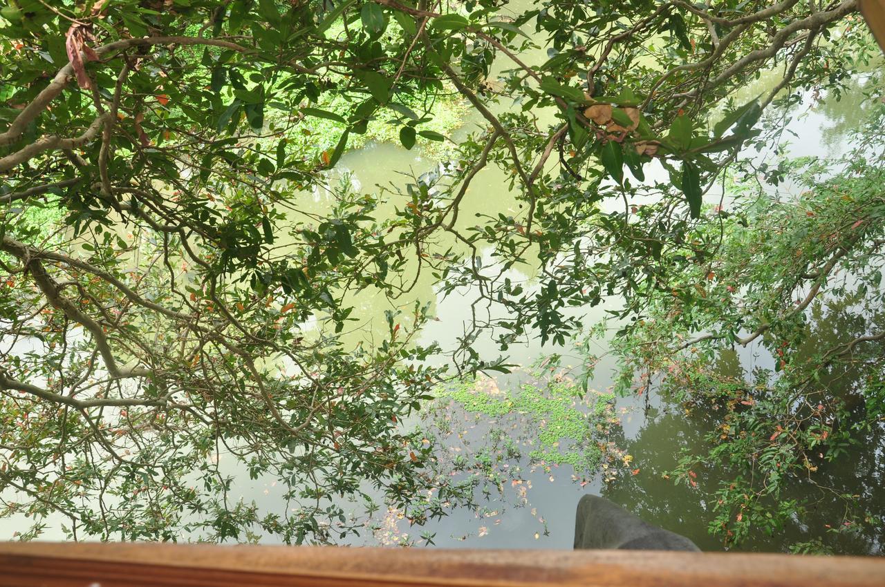 Kumbuk Tree House Villa Tissamaharama Exterior photo