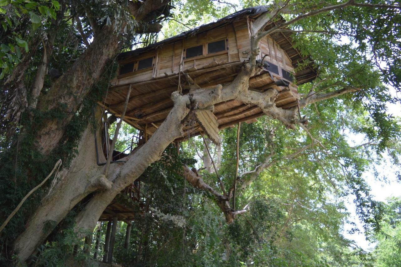 Kumbuk Tree House Villa Tissamaharama Exterior photo